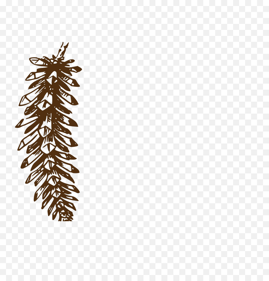 Pine Cone Brown - Pine Cone Clip Art Png,Pine Cone Png