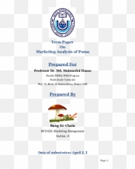 Term Paper - North South University Png,Puma Shoe Logo