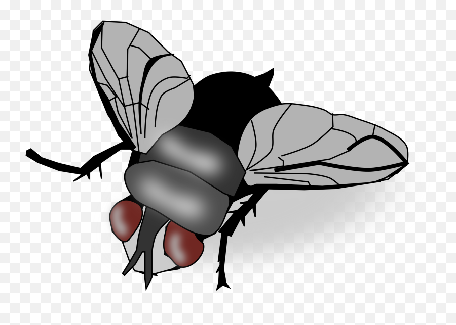 Clip Art - Fly Clipart Png,Fly Png