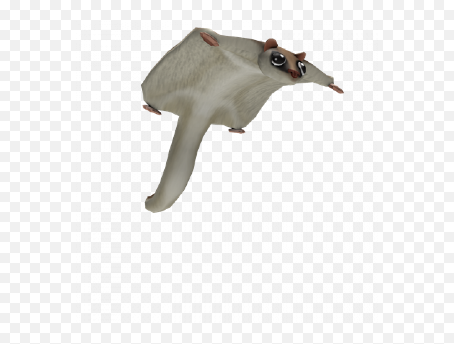 Flying Squirrel Png Transparent Images U2013 Free - Animal Figure,Squirrel Png