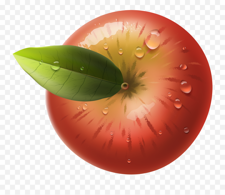 Plant Top View Png - Apple Top View Png,Red Apple Png