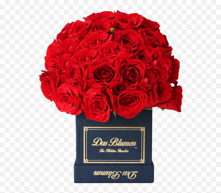 Estuche Cúbico Mini Royal Con Rosas Naturales - Day Png,Rosas Rojas Png
