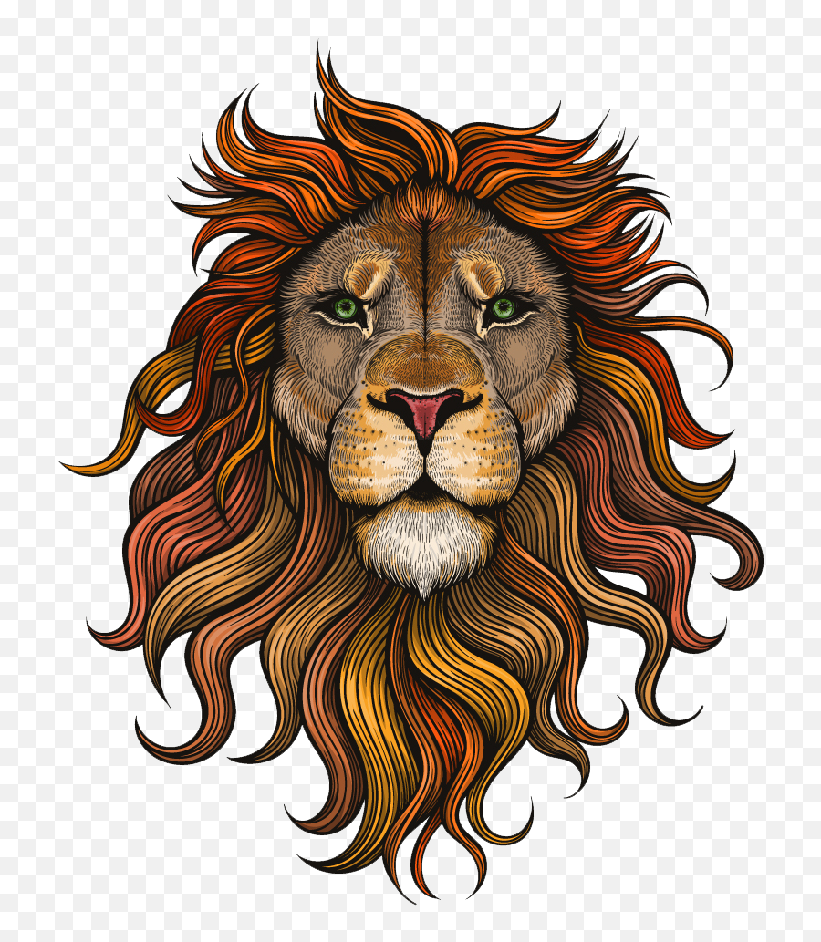 Download Lion Png - Vector Color Lion Png Image With No Lion Head With Crown,Mountain Lion Png