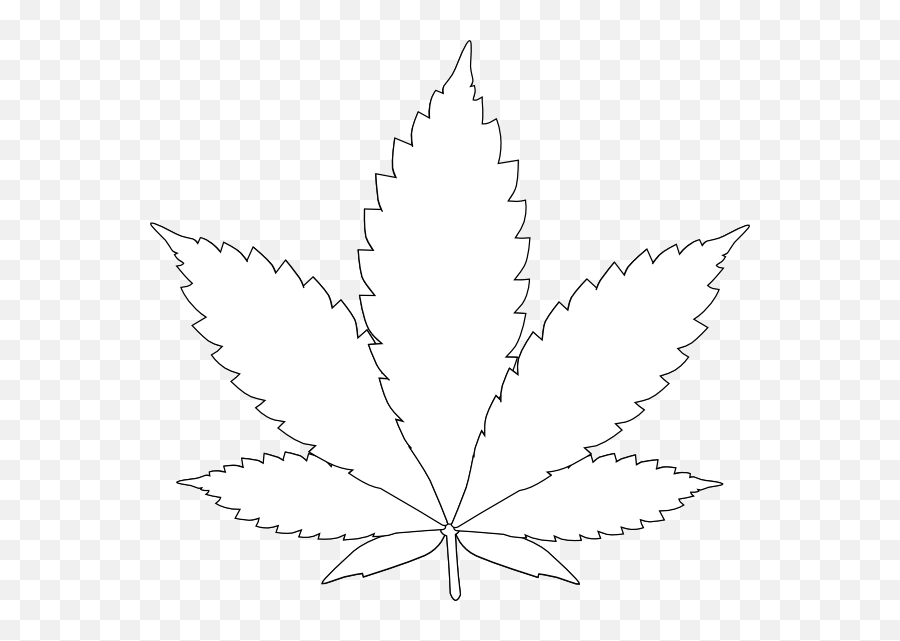 Dandelion Clipart Minimalist - Sketch Png,Marijuana Leaf Transparent