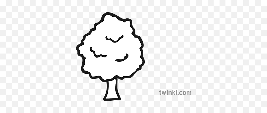 Tree Icon Black And White Illustration - Twinkl Language Png,Tree Icon Transparent