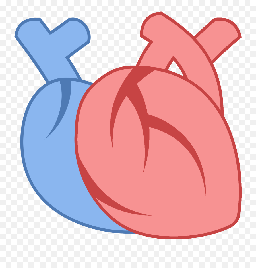 Download Hd Medical Heart Icon Transparent Png Image - Heart Clipart Png Medical,Heart Icon Circle