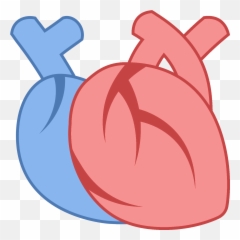 Download Hd Medical Heart Icon Transparent Png Image - Clipart Png