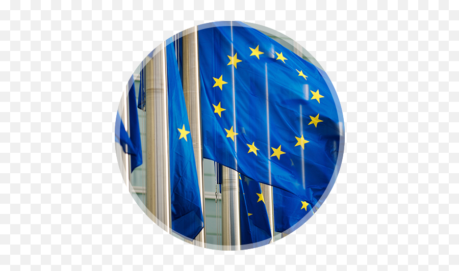 Turkish Language Day And European Of Languages 26 - Eu Directive Png,Abbrechen Icon