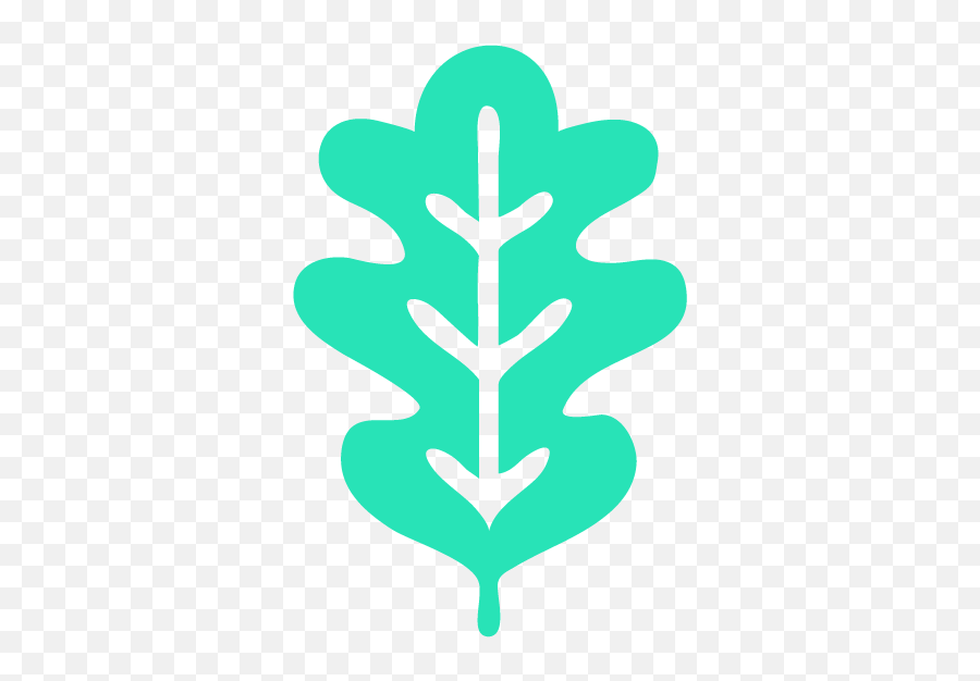 Oak3 - Oak Leaf Vector Png,Oak Leaf Icon