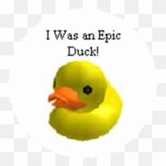 The Epic Duck - Teh Roblox Full Size PNG Rubber Pfp