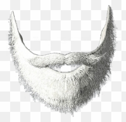 White Beard Png 3 Image - Transparent Background Santa