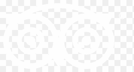 Nasty Tadpole Kids Activity Club - Trip Advisor Logo Round Png