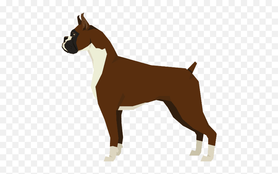 Lumps And Bumps - Identifying And Treatments Png,Boxer Dog Icon