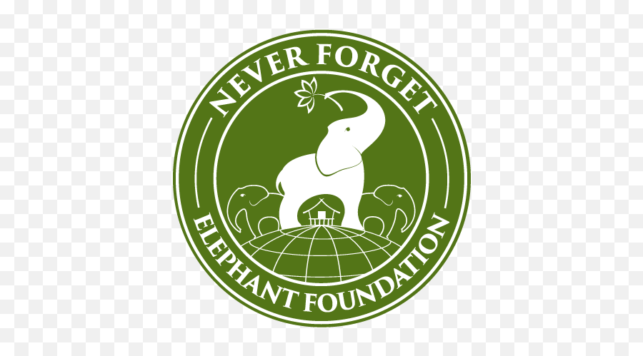Never Forget Elephant Foundation - Illustration Png,Elephant Logo Brand
