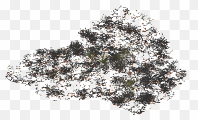 Index Of Linuxminecraft - Christmas Tree Png,Cave Png