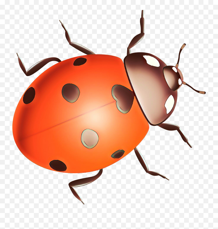Ladybird Beetle Clip Art Pest Snout - Png Download 3000,Beetle Png