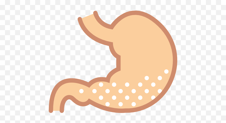 Acid Medical Body Parts Anatomy Organ Stomach Icon - Stomach Icon Png,Acid Png