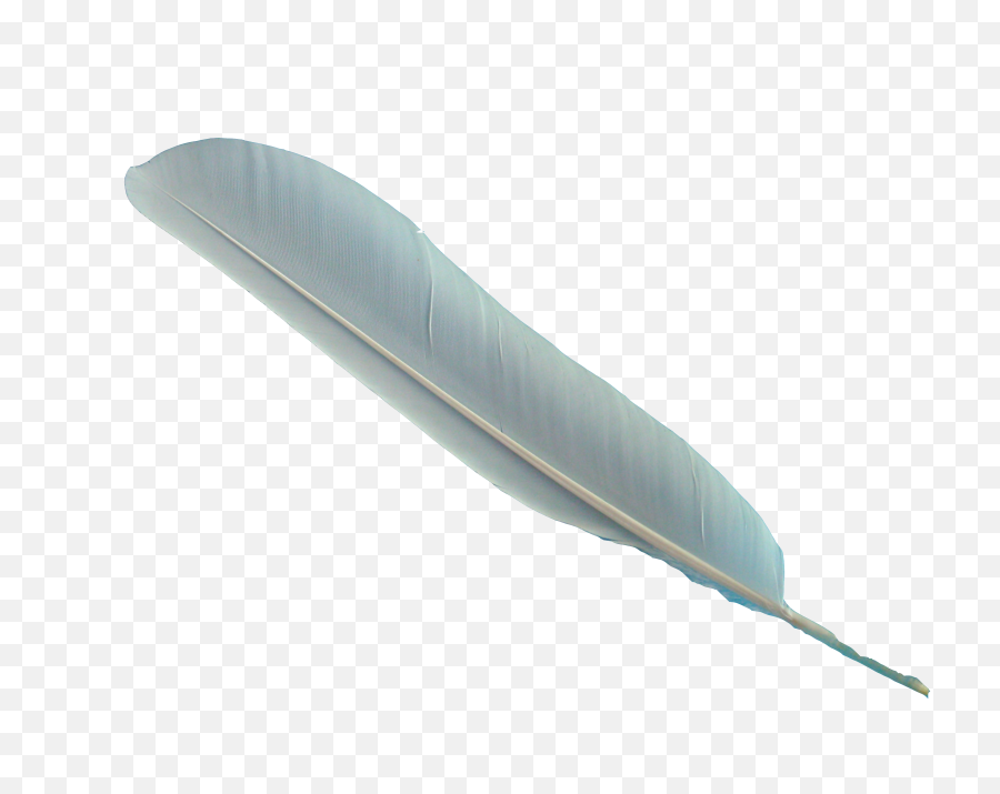 Png Image With Transparent Background - Transparent Background Feather Clipart,Transparent Backround