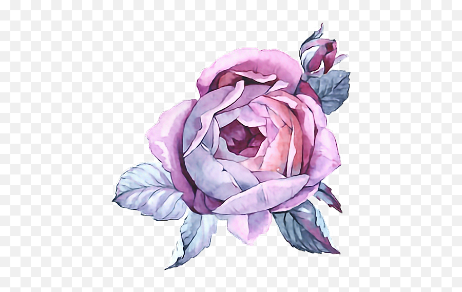 Paint Purple Flower Watercolor - Watercolor Painting Png,Watercolor Roses Png