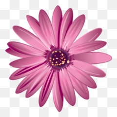 Flower Vector Download - Ridgeway Floral png