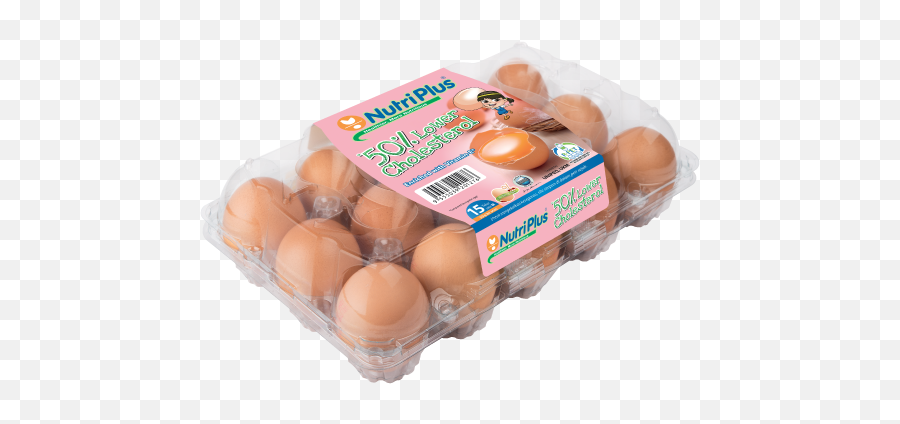 Home Nutriplus Eggs - Egg Omega Png,Scrambled Eggs Png