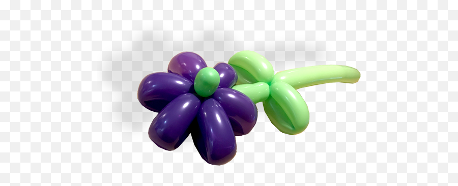 Balloon Modelling The Joker Entertainment - Flower Png,Purple Balloons Png