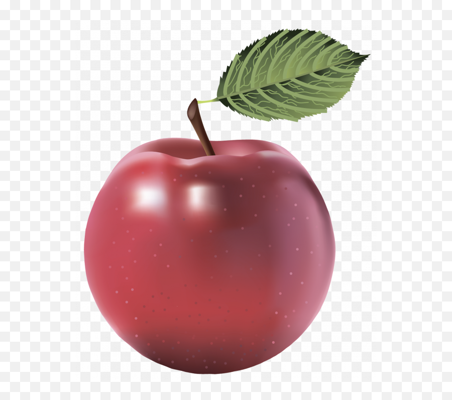 Picture 1767318 - Nutrition Clipart Apple In 2020 Apple Individual Fruits And Vegetables Png,Apple Logo Clipart
