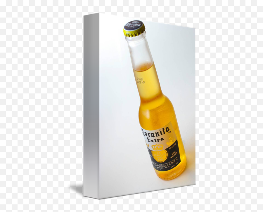 Corona Beer Bottle Well Coronita By Colink - Solution Png,Corona Bottle Png