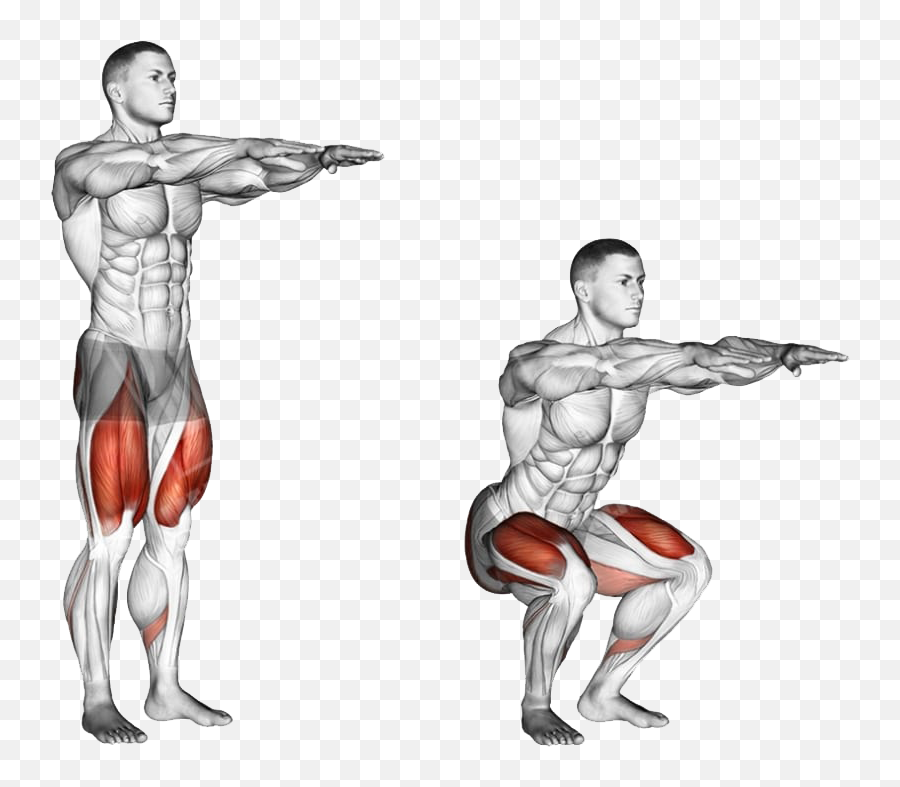 Bodyweight Squats How To Perfect Your Form Now - Body Squats Png,Squat Png