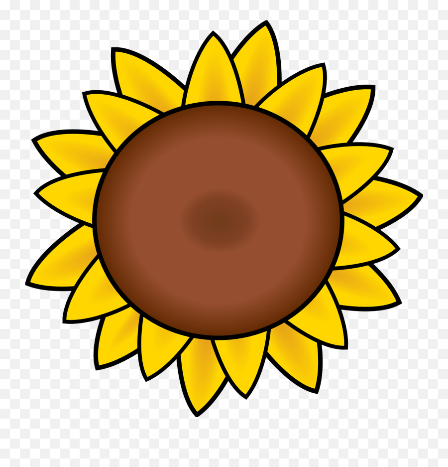Download Hd Drawn Sunflower Petal - Sunflower Sunflower Clipart Png,Sunflower Clipart Png