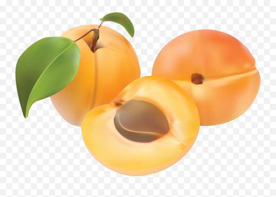 Peach Png Image - Abricot Clipart,Peach Transparent Background