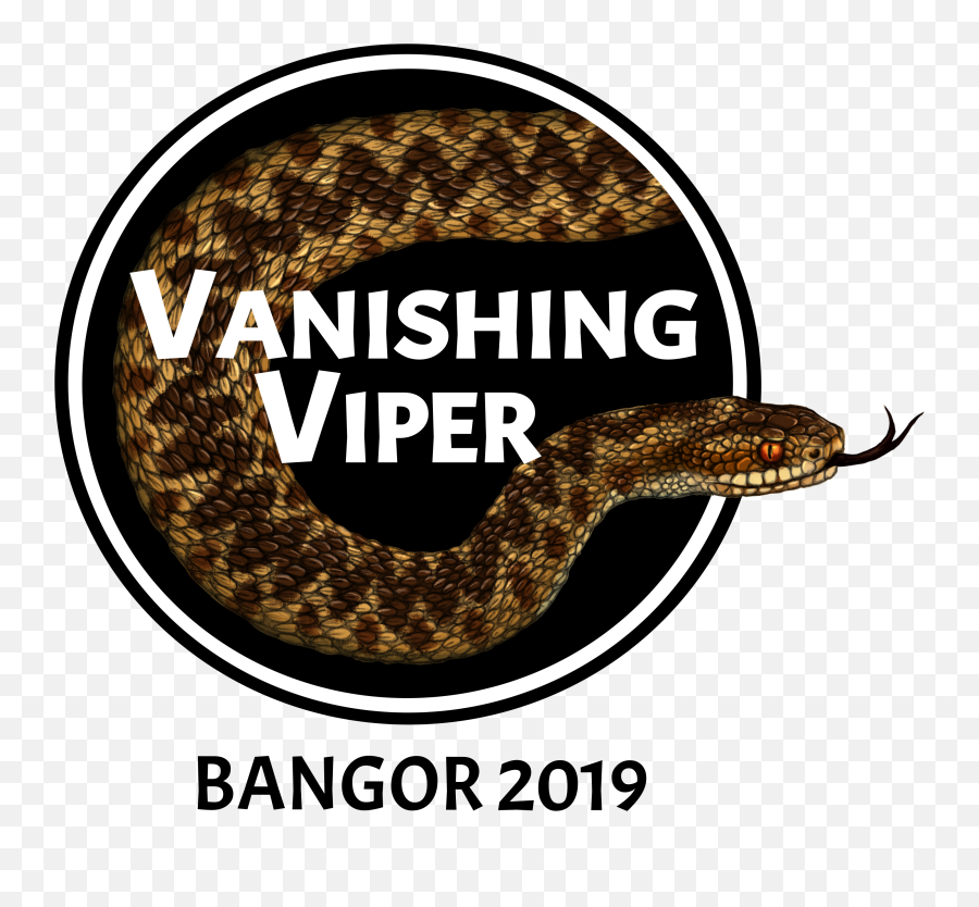 Viper Png - Serpent,Viper Png