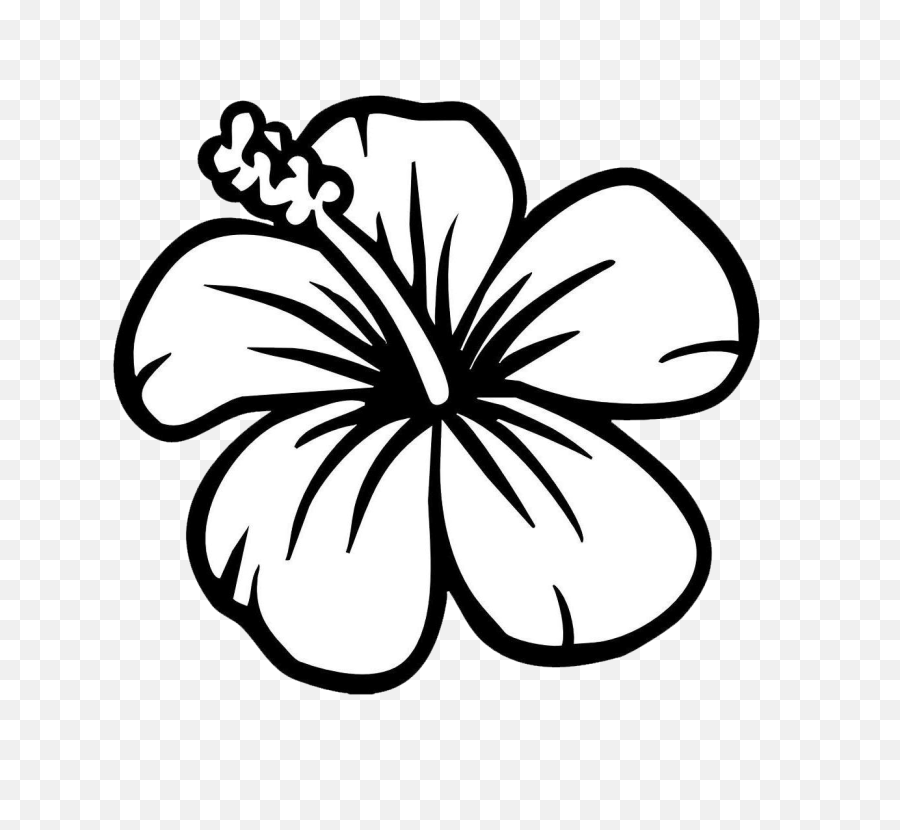 Simple Flower Clipart Black And White Png - Hibiscus Flower Coloring Page,Simple Flower Png