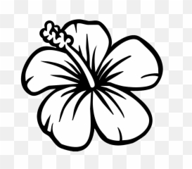 Simple Flower Clipart Black And White Png - Hibiscus Coloring Page