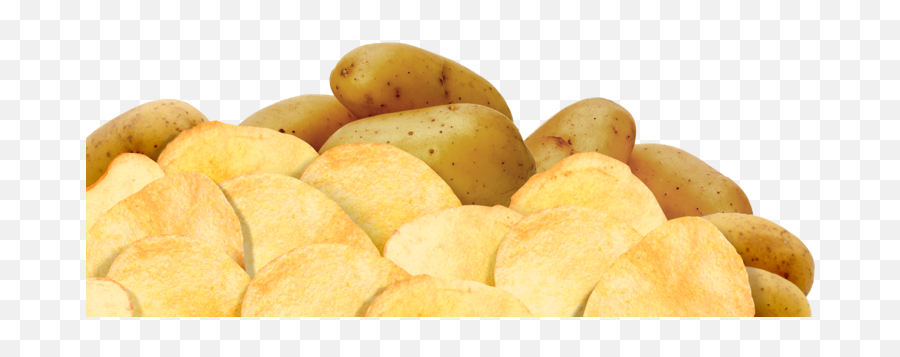 Download Potato Chips - Russet Burbank Potato Png Image With Potato Chip,Potato Png