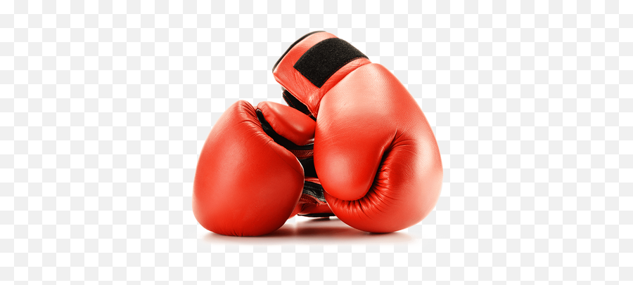 Classes And Tutor Courses For Boxers Boxing Awards - Red Boxing Gloves Transparent Background Png,Boxing Gloves Icon