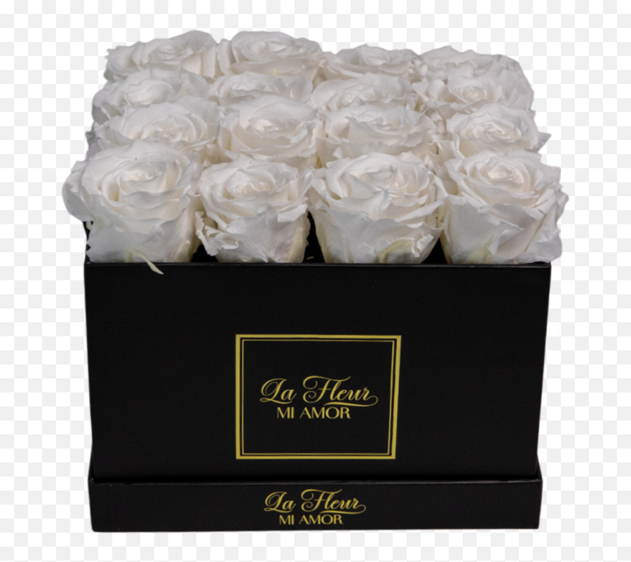 Medium Round Paper Box With Fourteen Preserved Roses U2013 La - Garden Roses Png,Icon And The Black Roses