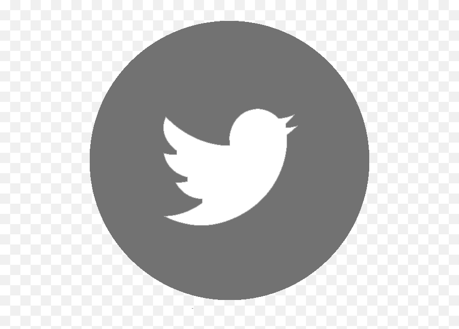 Twitter - Blue Twitter Icon Png Full Size Png Download Twitter Flat Icon,Size For Twitter Icon