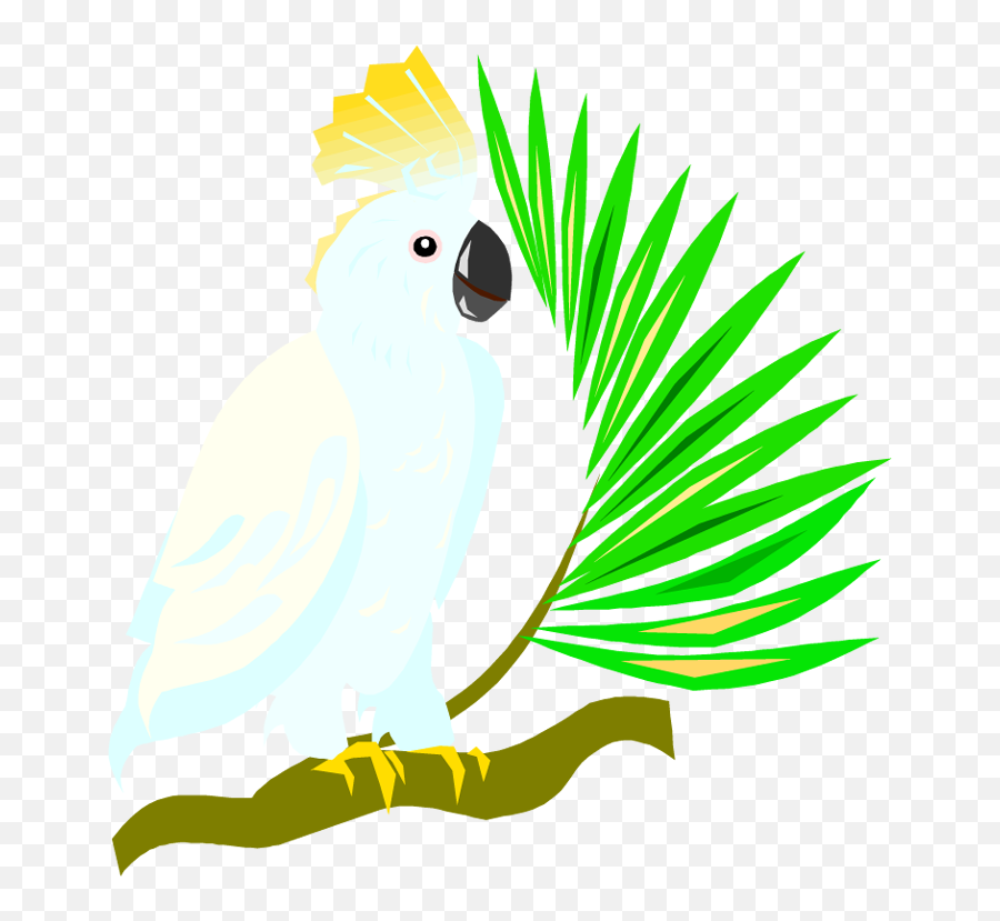 Cockatoo Clipart Transparent Background - Cockatoo Clipart Transparent Background Png,Parrot Transparent Background