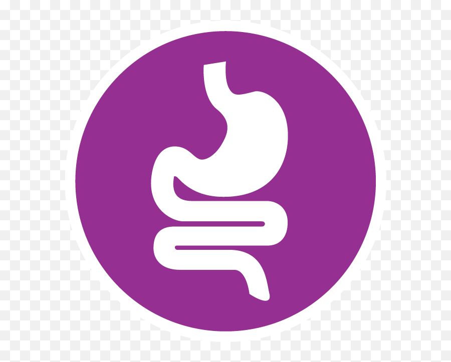 Gut Health Impacts More Than Just The - Solidgold Language Png,Gut Icon