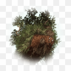 Bdo Mutant Tree Spirit Knowledge Database - Bdo Dim Boss png