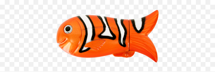 Fish Case Clown - Bony Fishes Png Bangus Tuna Goldfish And Tilapia,Transparent Fish