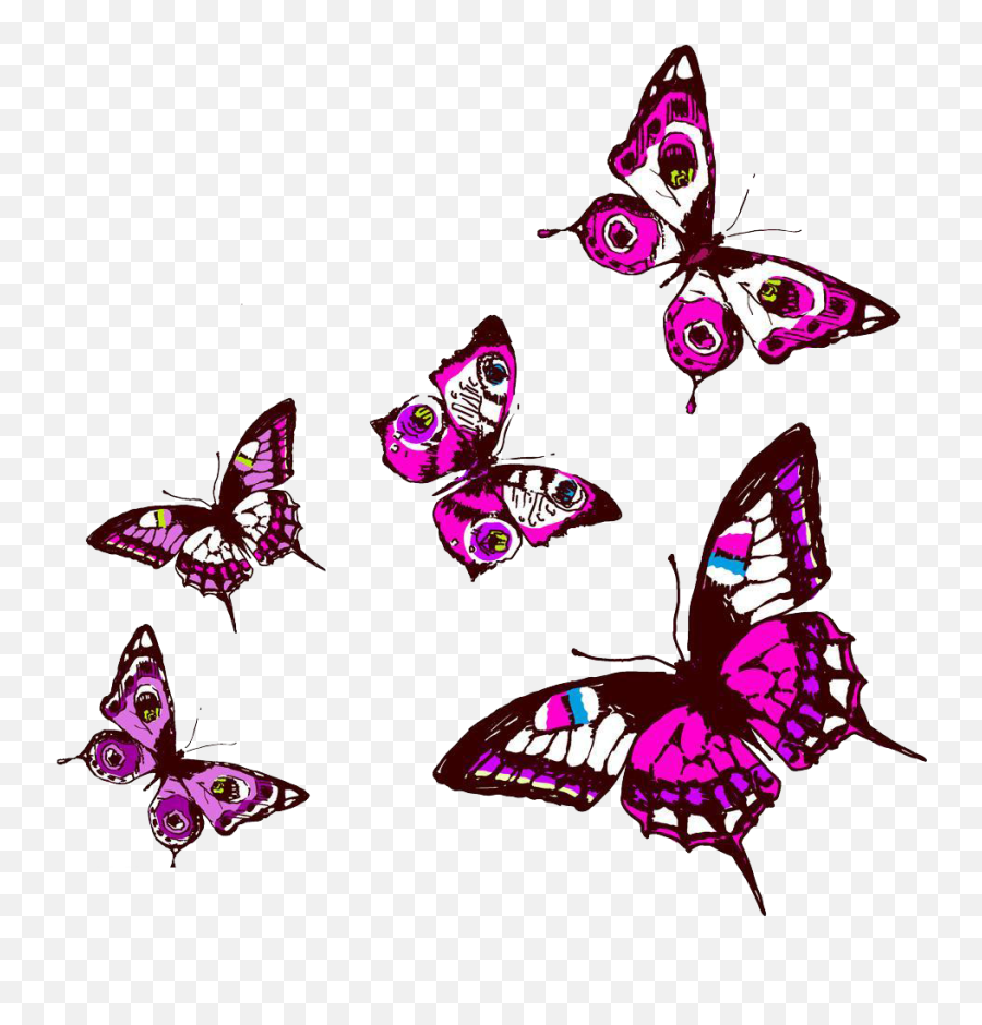 Insect Clipart Purple Transparent Free For - Clip Art Png,Purple Butterfly Png