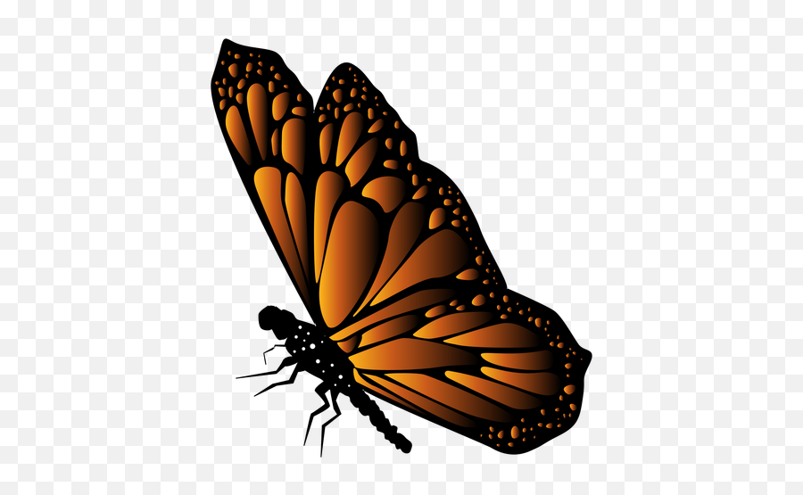 Transparent Png Svg Vector - Vector Mariposa Svg,Butterfly Vector Png