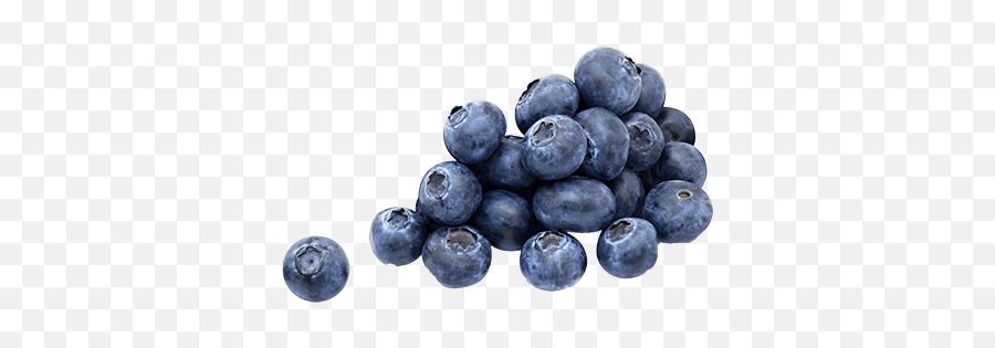 Blueberry Png Transparent Images - Blueberries Png,Blueberries Png