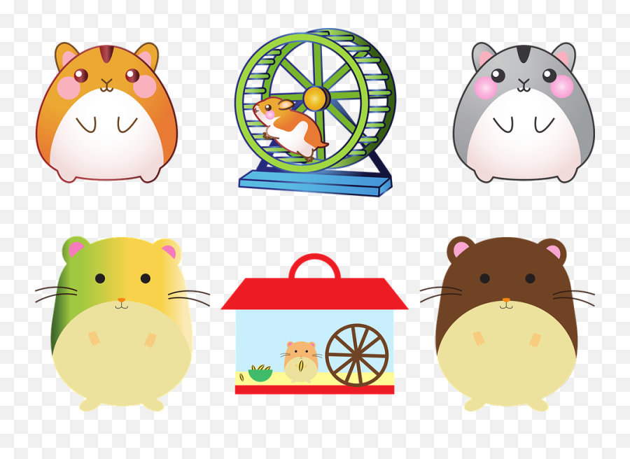 Best Chinchilla Wheels 4 Safest And Options - Hamster Lucu Png,Chinchilla Png