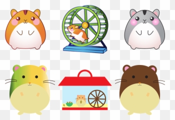 Best Chinchilla Wheels 4 Safest And Options - Hamster Lucu Png,Chinchilla Png
