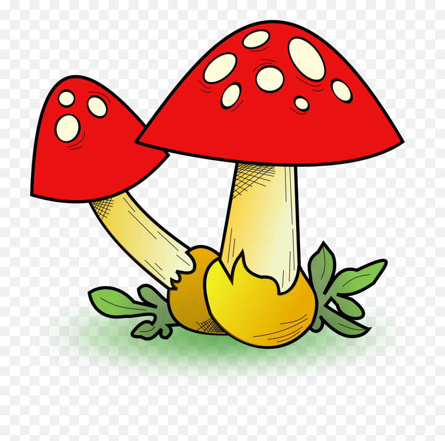 Cartoon Forest Transparent U0026 Png Clipart Free Download - Ywd Fungi Clip Art,Forest Clipart Png