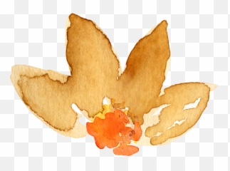 Floral Clipart Autumn Transparent Free For - Watercolor Autumn Leaves Png
