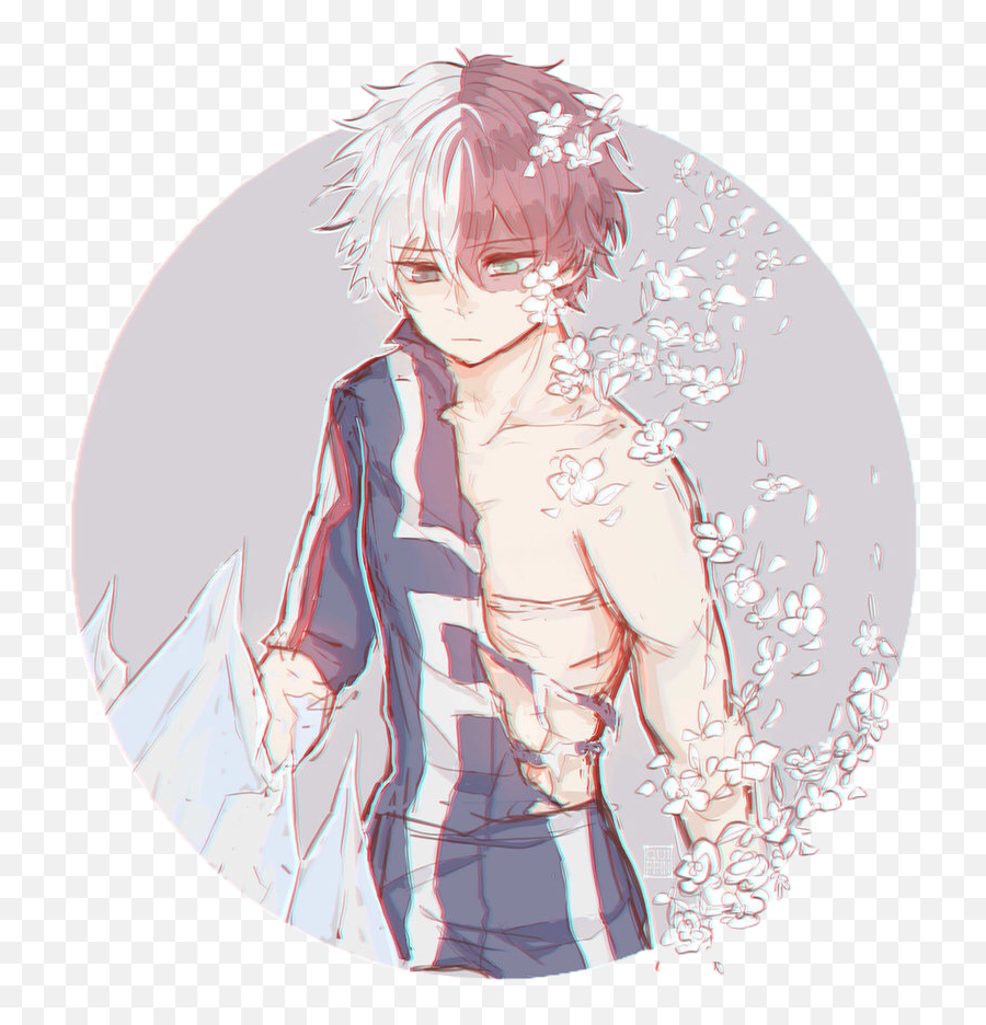 Download Todorokishouto Todoroki Shoutotodoroki - My Hero Academia Todoroki Shouto Cute Png,Todoroki Png